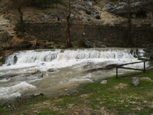 Foto: M. TERESA PALOMARES